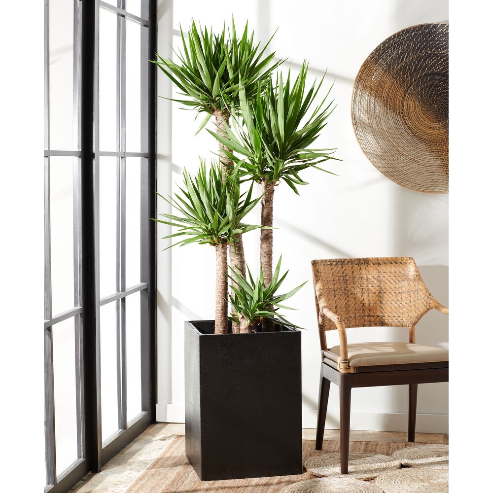 SAFAVIEH Outdoor Kendri Black Planter   16.9\