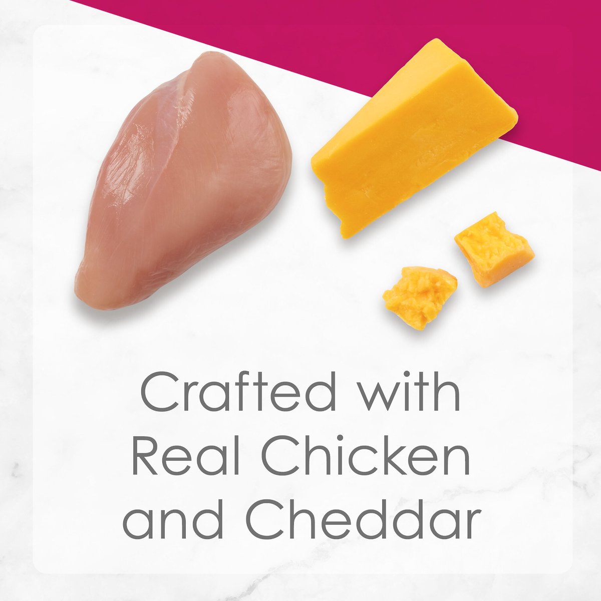 Fancy Feast Delights with Cheddar Grilled Chicken and Cheddar Cheese Feast in Gravy Canned Cat Food