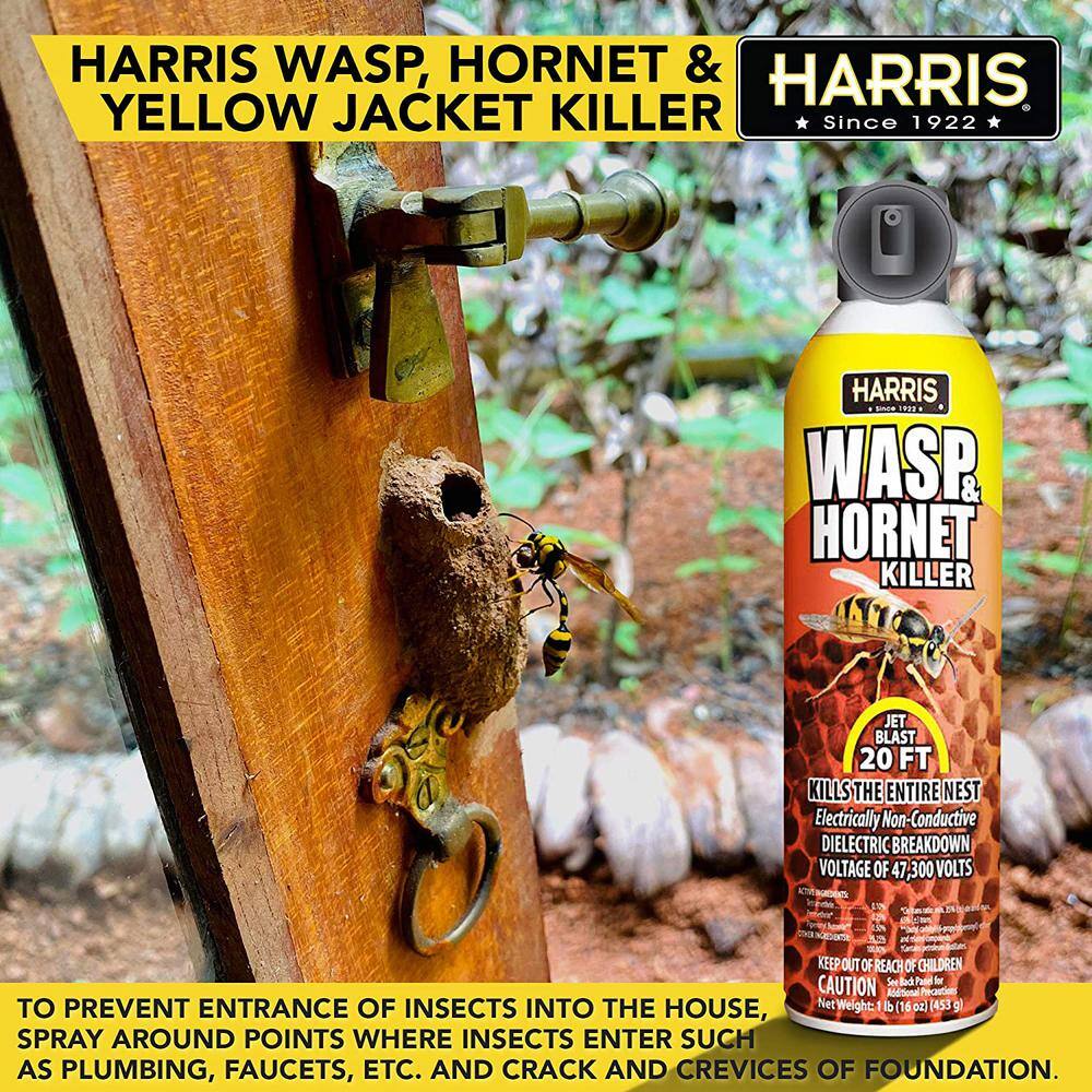 Harris 16 oz. Wasp and Hornet Killer (6-Pack) 6WH-16