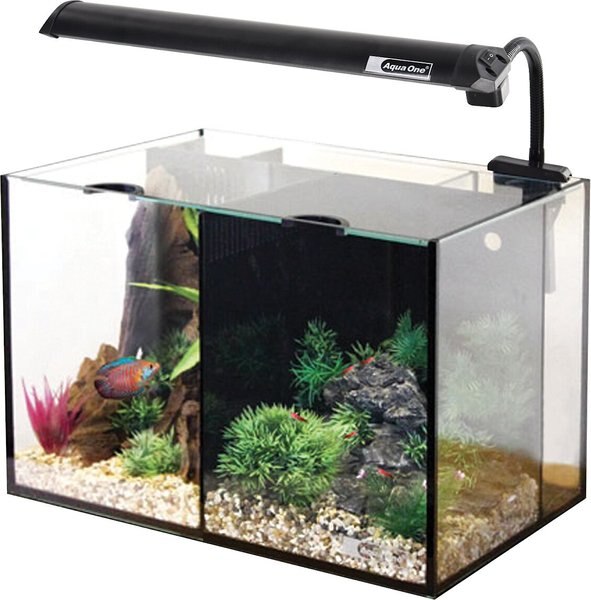 Underwater Treasures Aqua One Betta Duo Aquarium， 5.3-gal