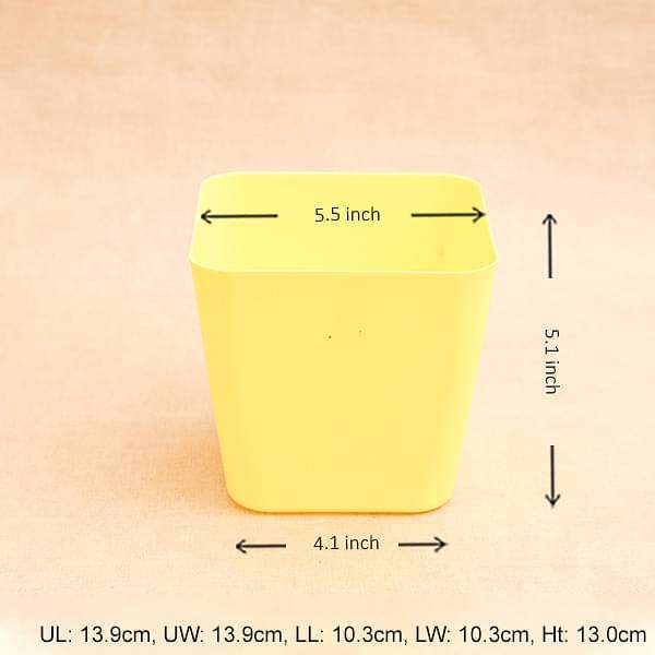 5.5 inch (14 cm) Square Plastic Planter with Rounded Edges (Yellow) (set of 6)