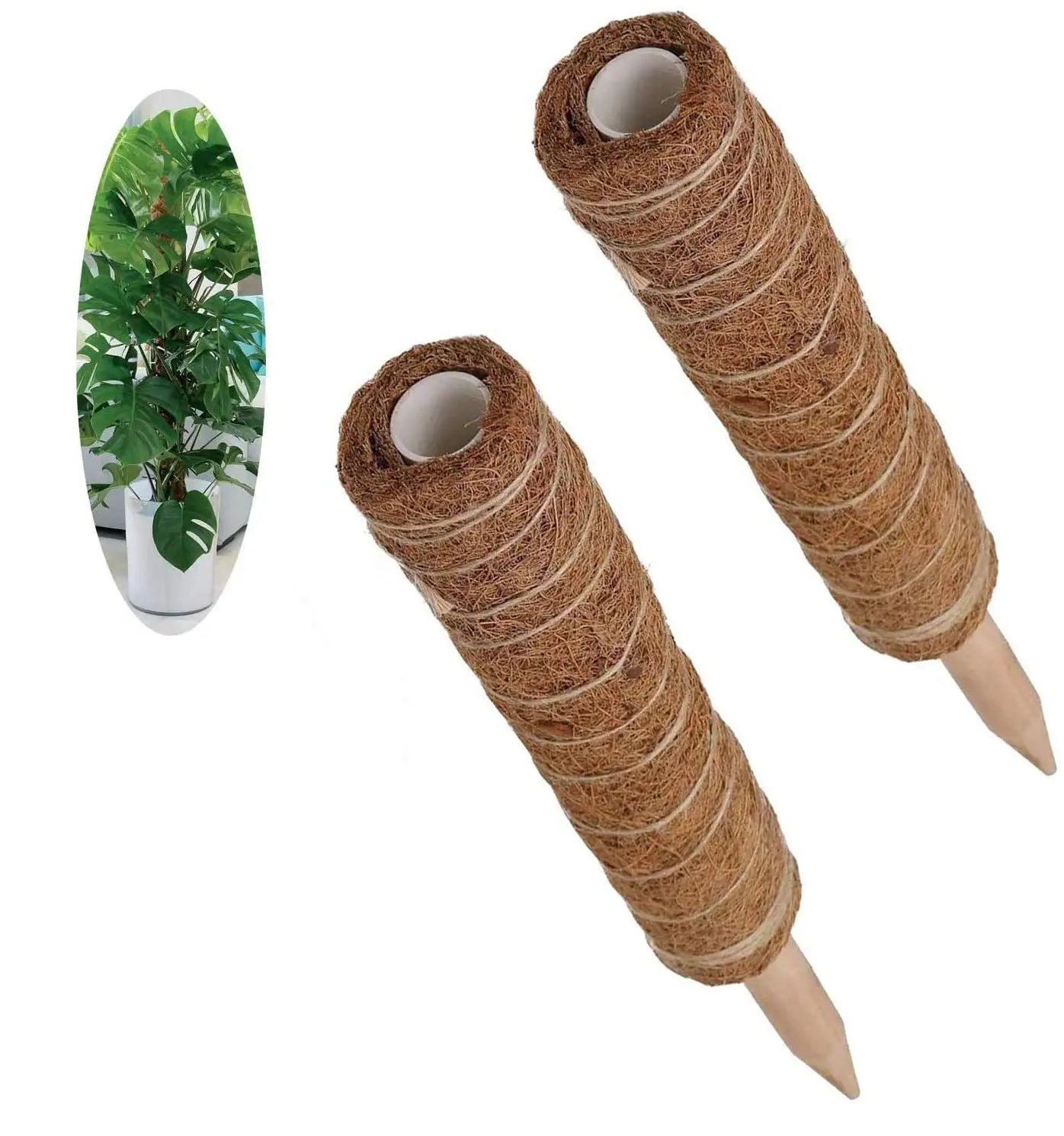 Customizable 30/40/60/80/100Cm Coco Coir Pole Sticks For Indoor Gardening