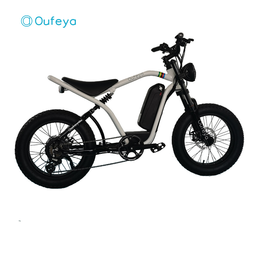 electric bike for adults 1000w electric bike 36V 48V  350W 500W 750W 1000W fat tire ebike e bike electric bicycle