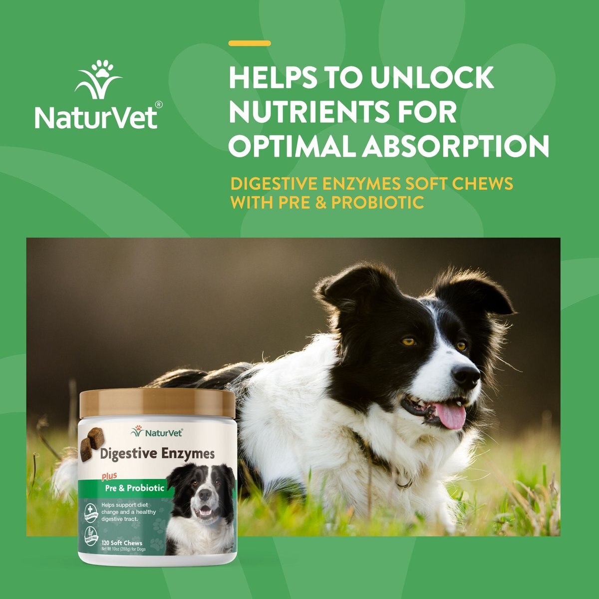 NaturVet Digestive Enzymes Plus Probiotic Soft Chews Digestive Supplement for Dogs