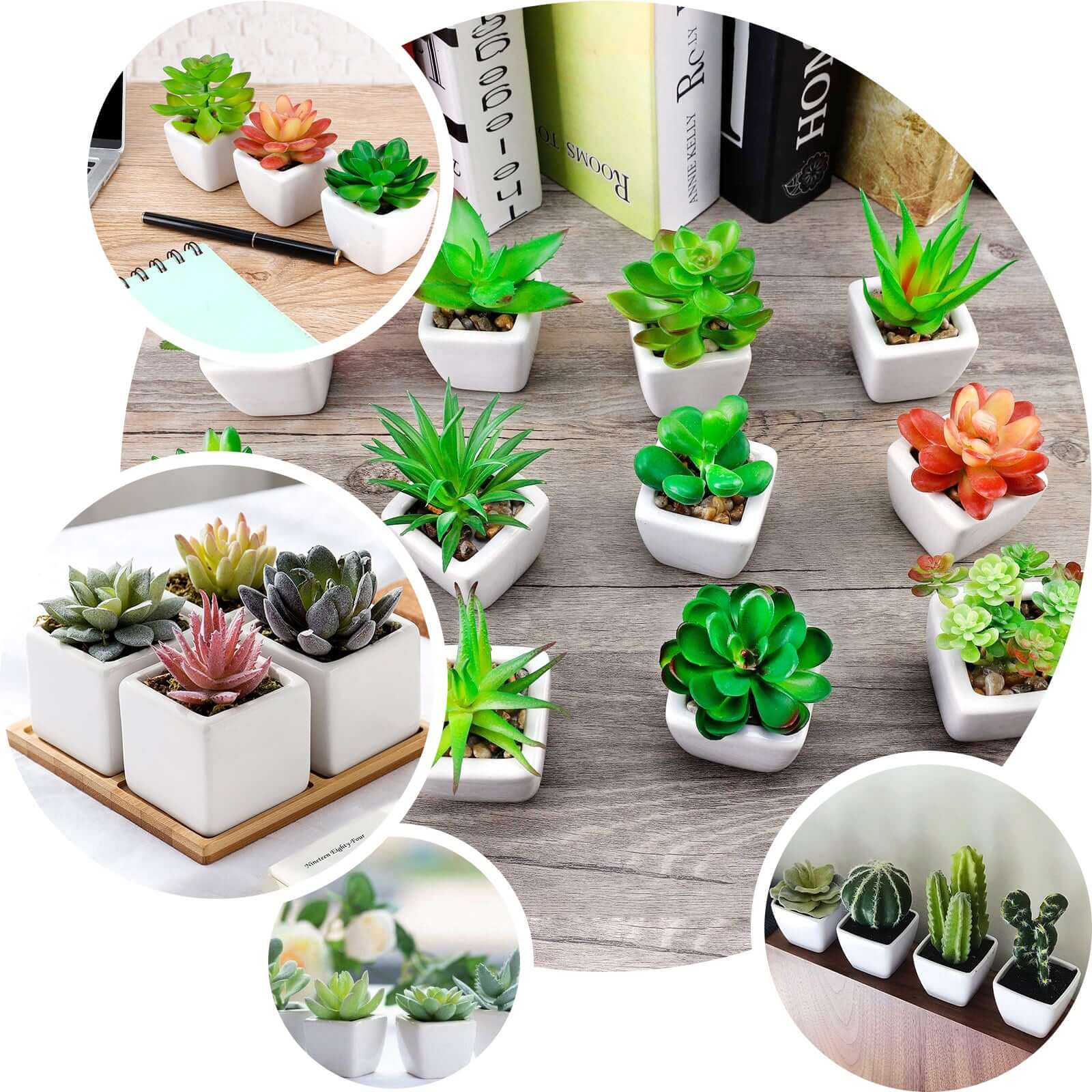 3 Pack Ceramic Planter Pot and Artificial Echeveria Elegans Plants 4