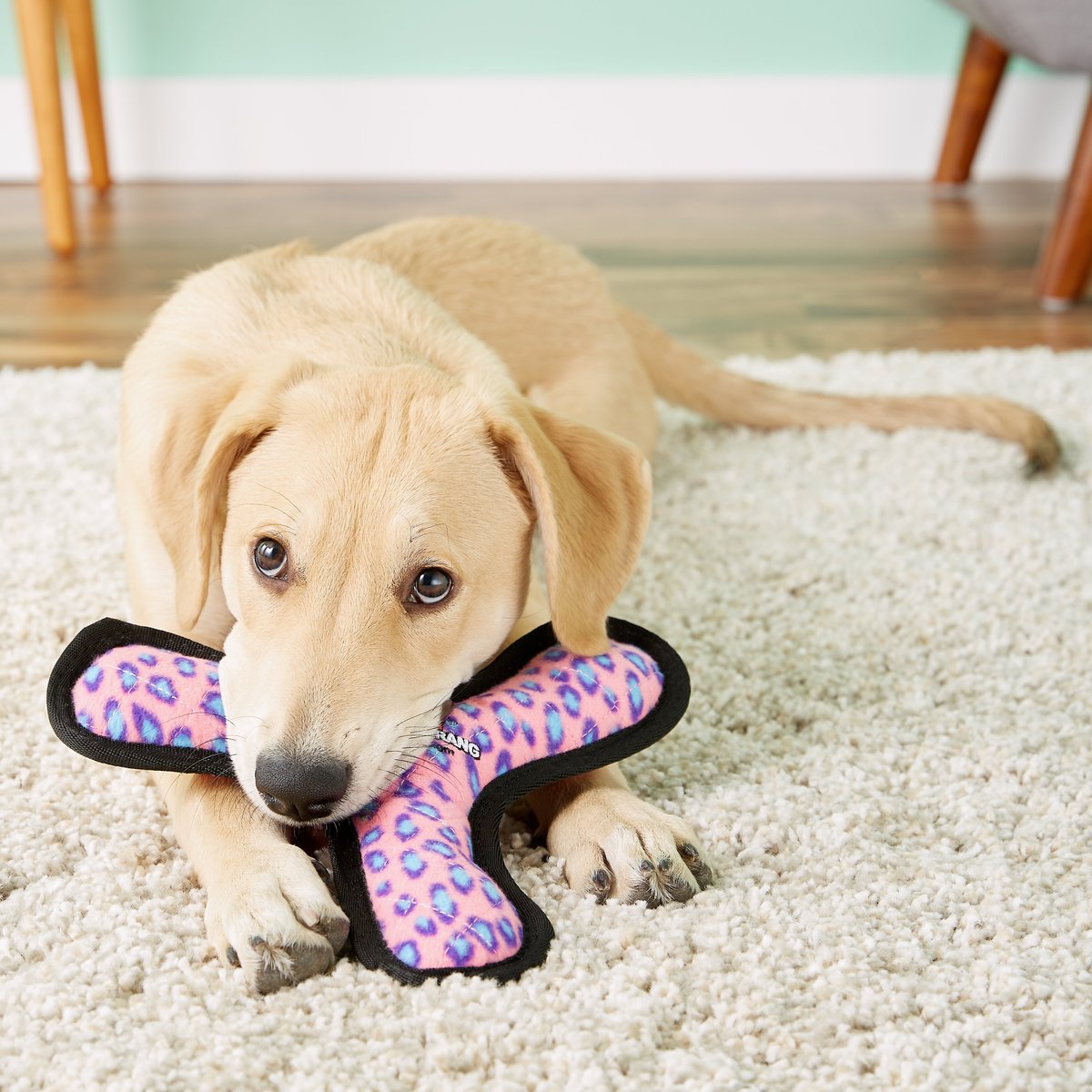 Tuffy's Ultimate Bowmerang Squeaky Plush Dog Toy