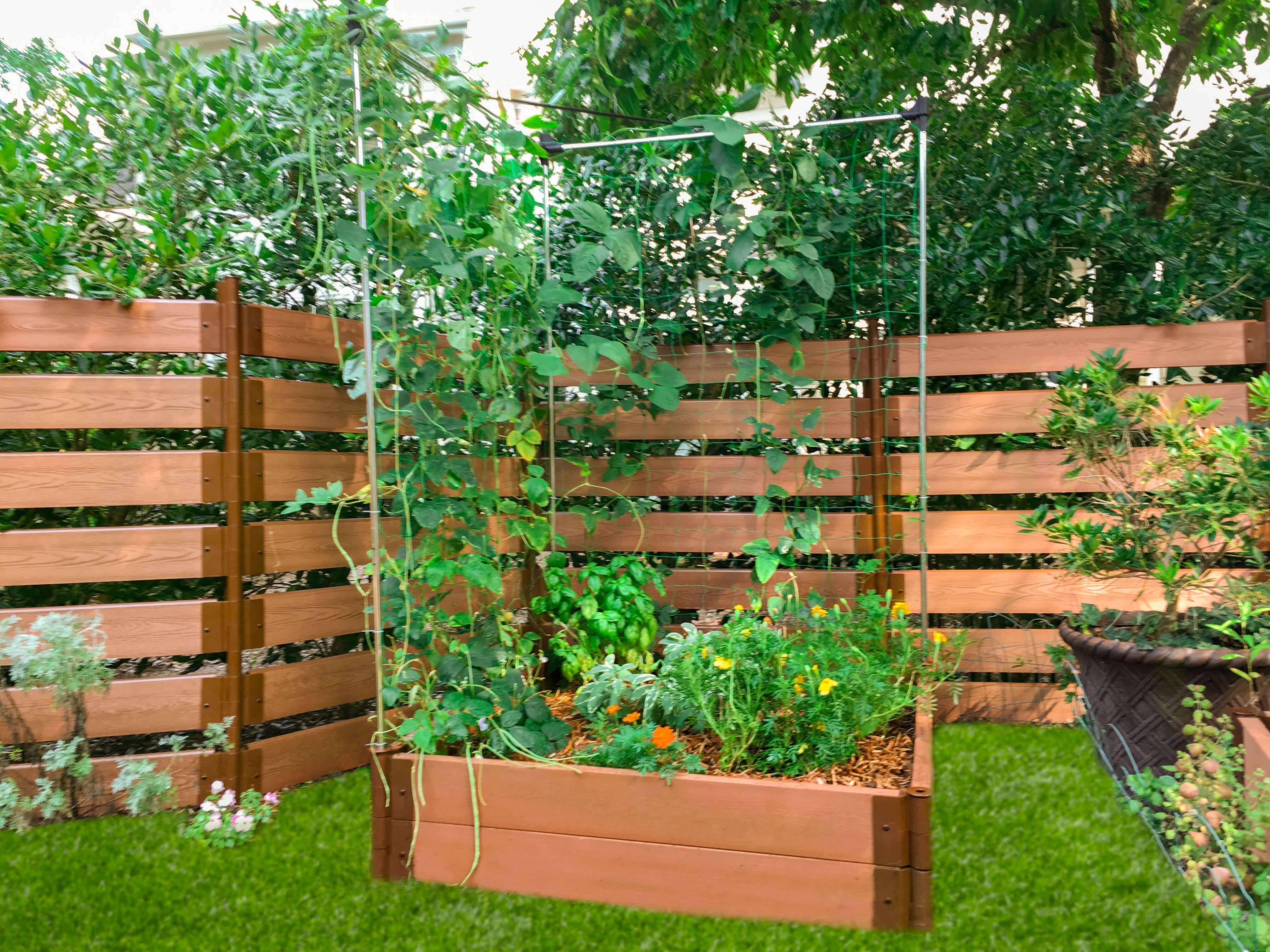 4' x 4' Raised Garden Bed with Trellis