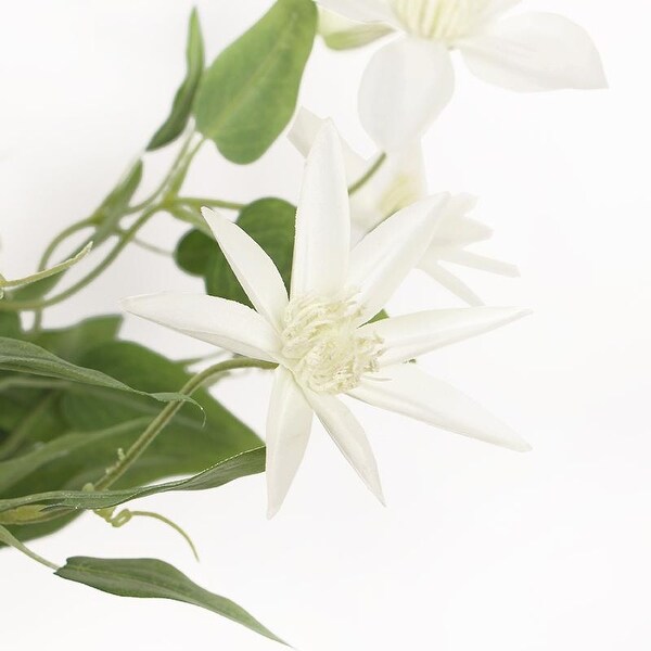 FloralGoods Luxury Silk Clematis Stem in Purple or White 28 Tall