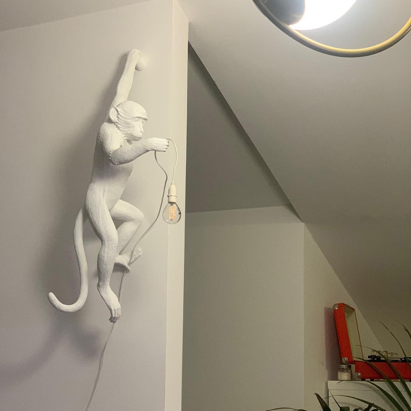 Monkey Wall Lamp