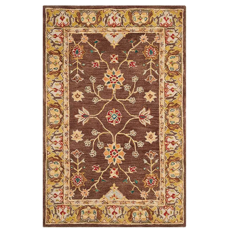 Safavieh Anatolia Tina Framed Floral Wool Rug