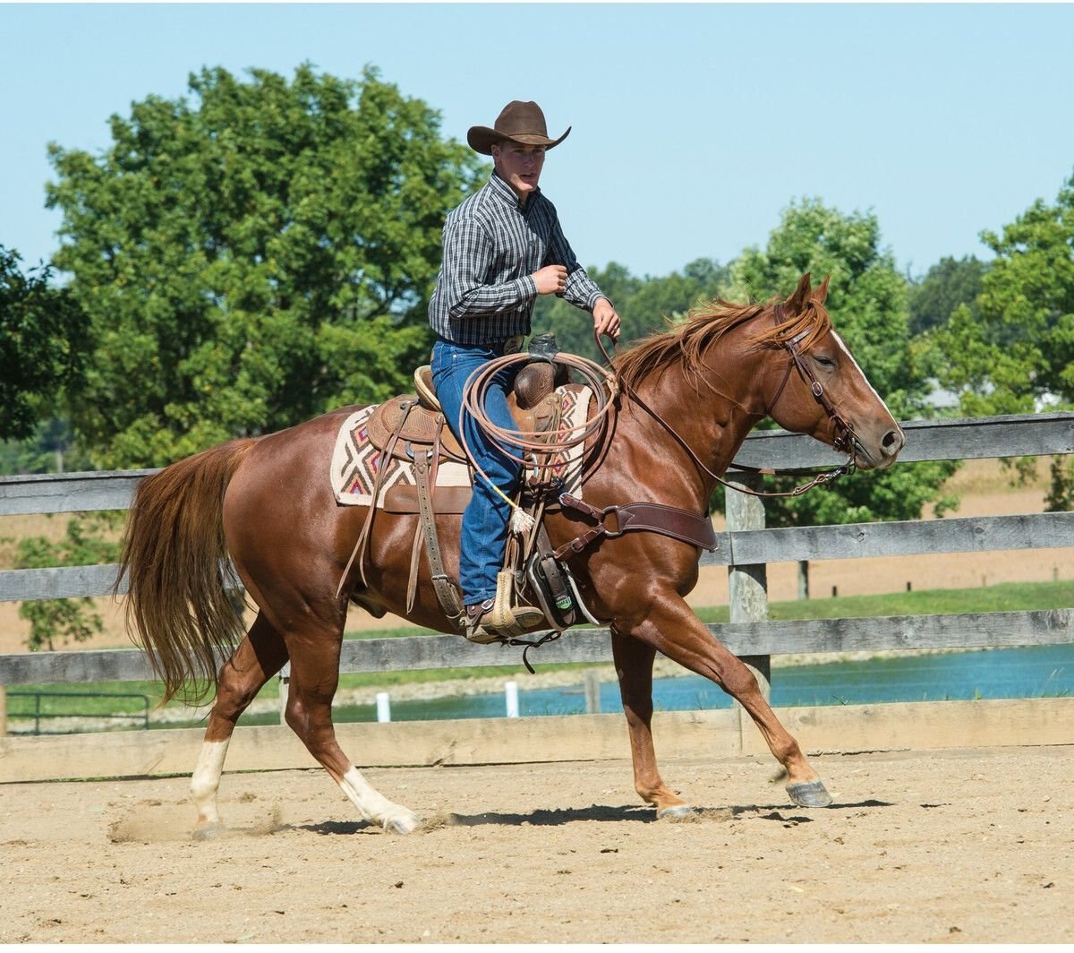 Weaver Leather Working Tack Horse Bridle and Correction Mouth Bit