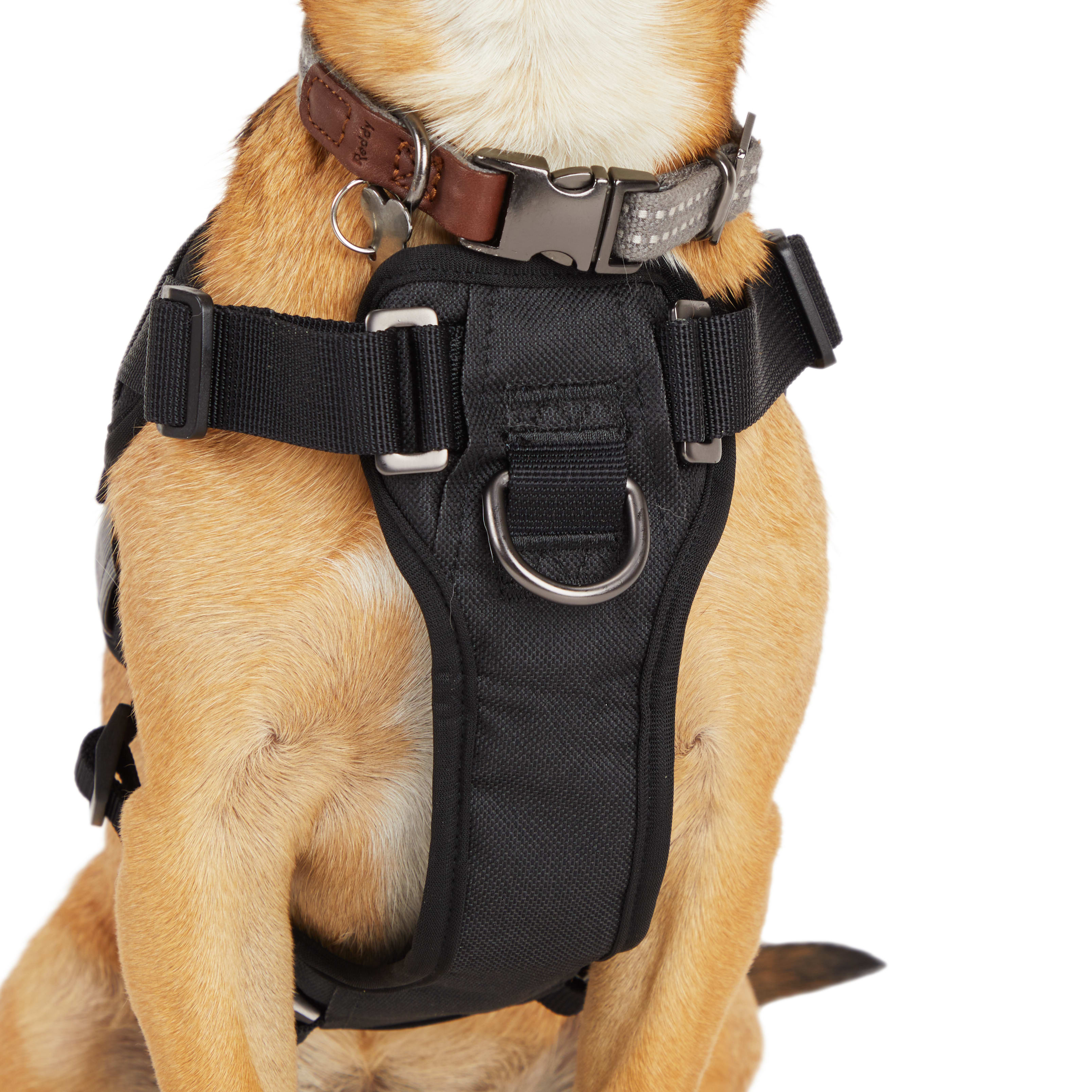 Reddy Fiber Optic Dog Harness， X-Large/XX-Large