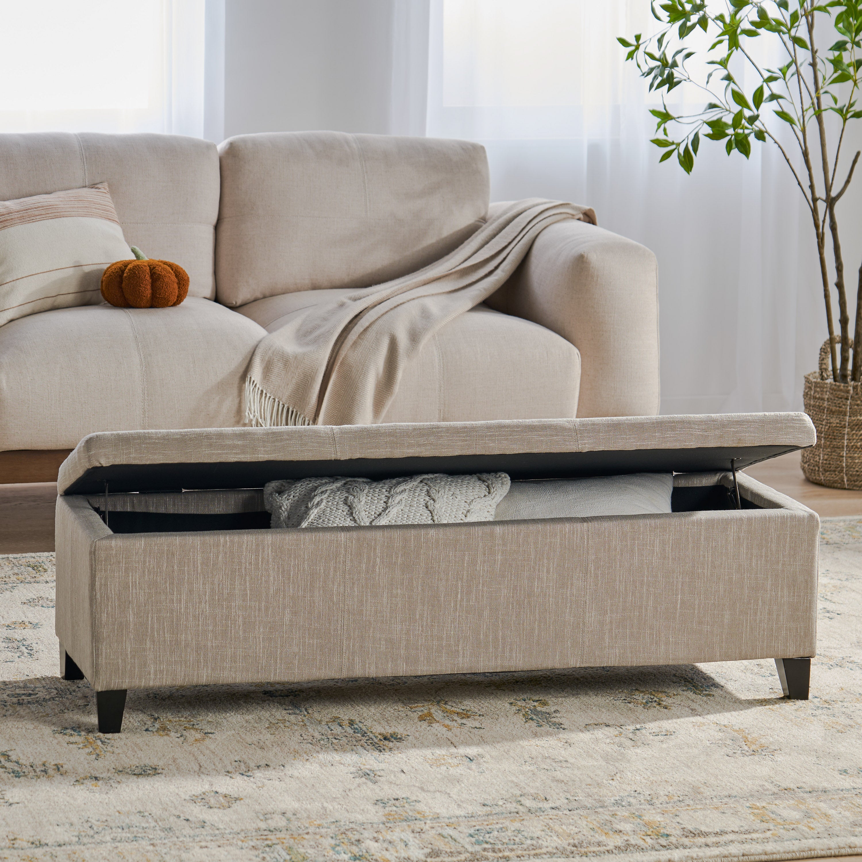 Rupert Upholstered Storage Ottoman Bench