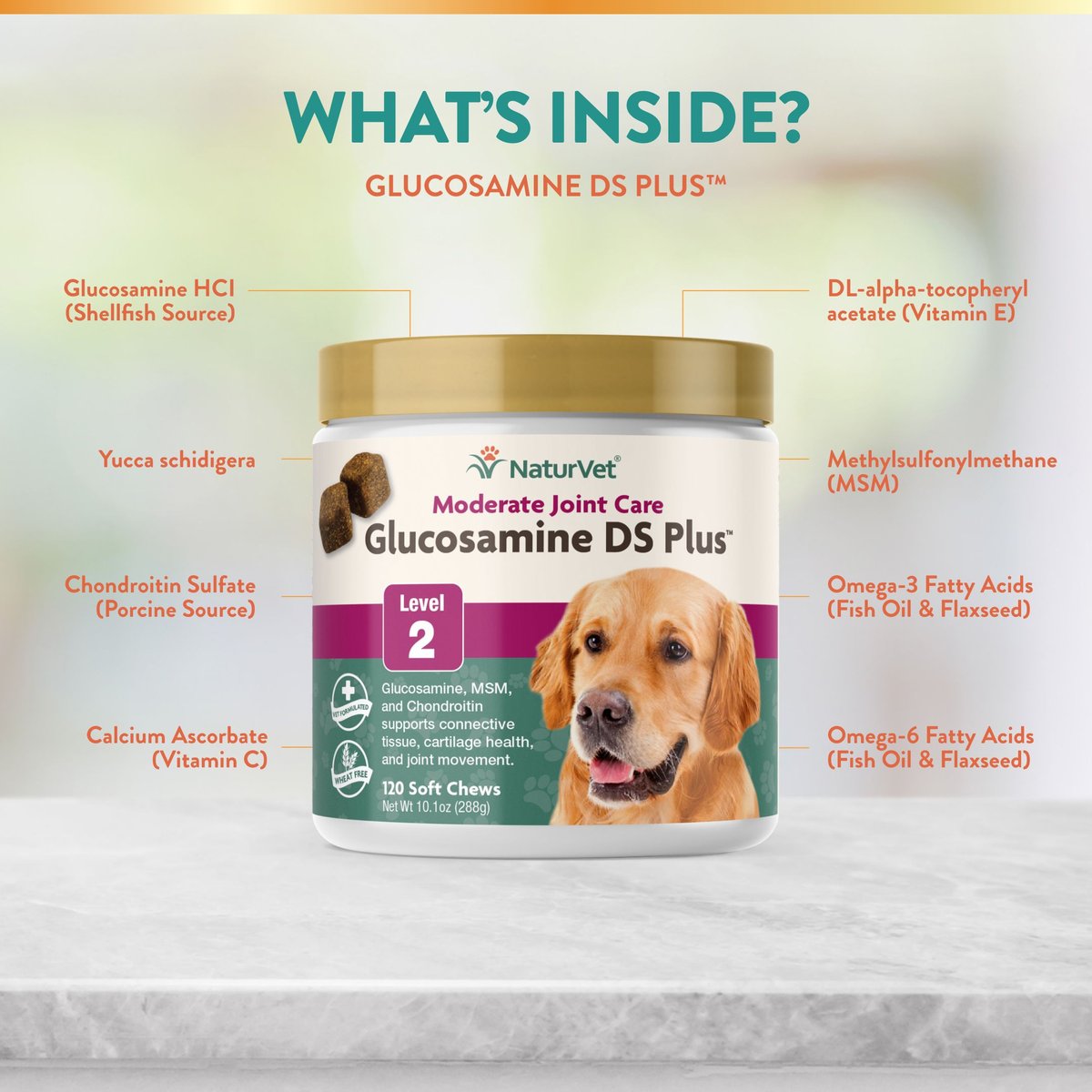 NaturVet Moderate Care Glucosamine DS Plus Soft Chews Joint Supplement for Cats and Dogs