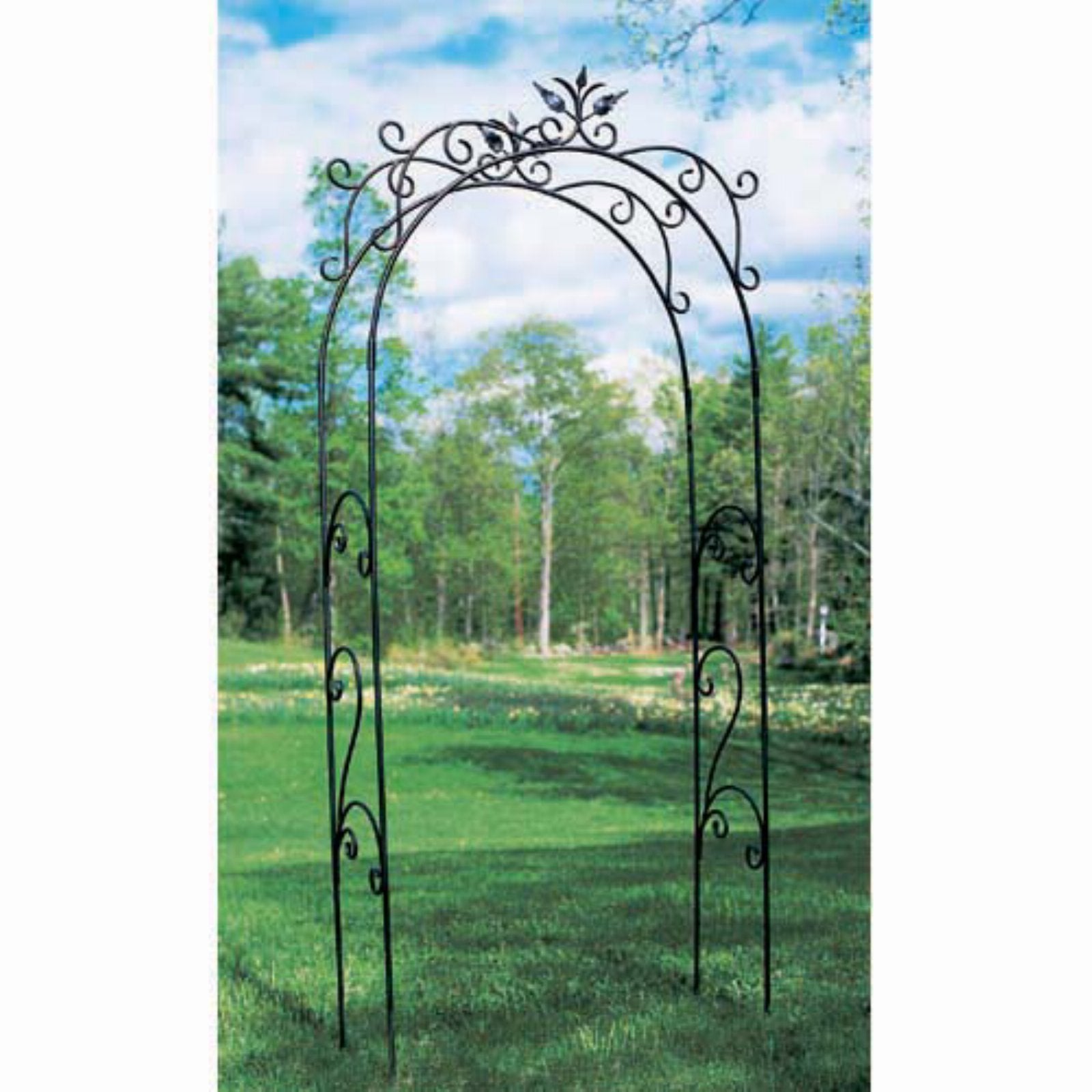 Achla Designs Tuileries 9.5 ft. Iron Arch Arbor