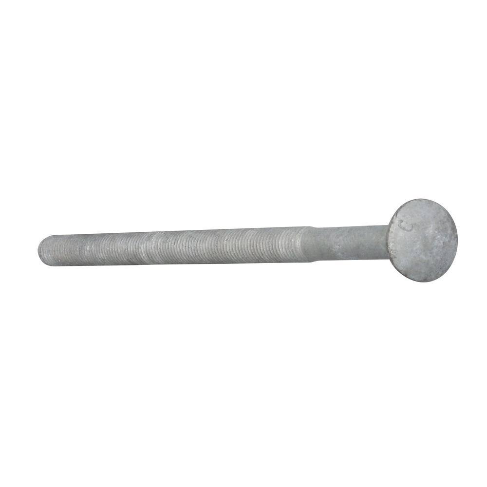 Everbilt 38 in.-16 x 8 in. Galvanized Carriage Bolt (25-Pack) 06020