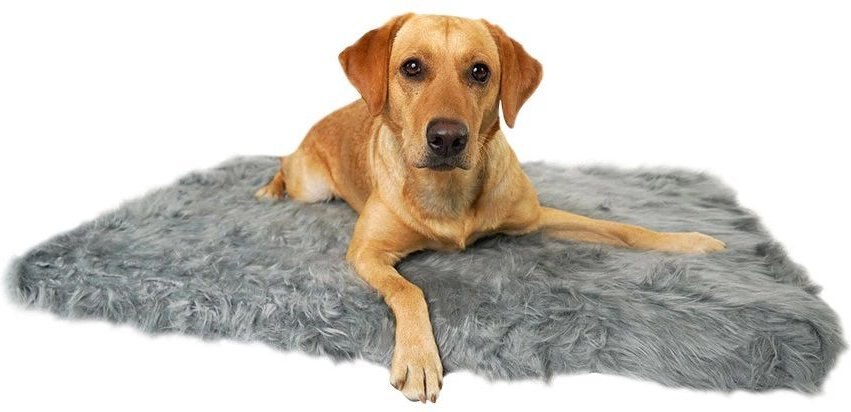 Alpha Paw OrthoPaw Memory Foam Rug Dog and Cat Bed