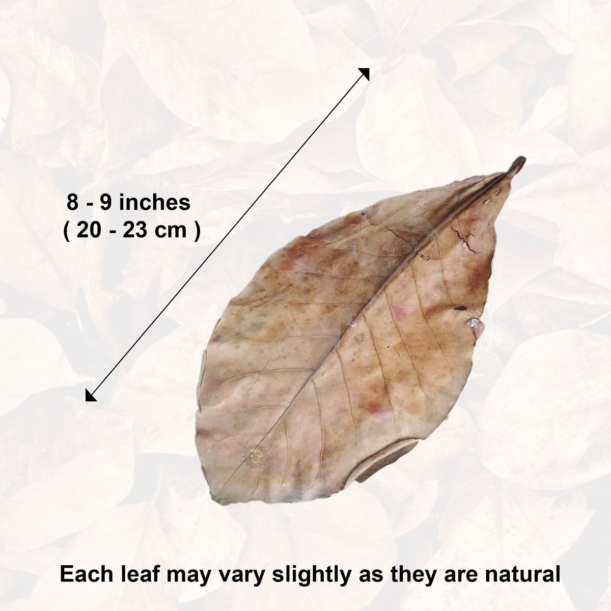 SunGrow Betta Fish Indian Almond Leaves， Water Conditioner and Tank Treatment for Freshwater Aquarium