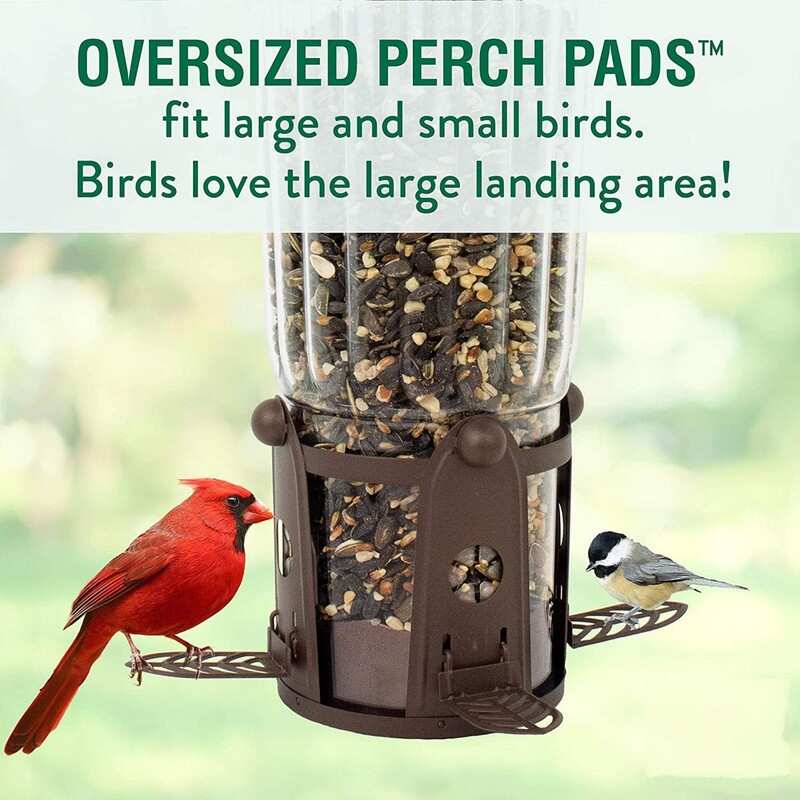 Squirrel Proof Bird Feeder with Weight Activated Perches