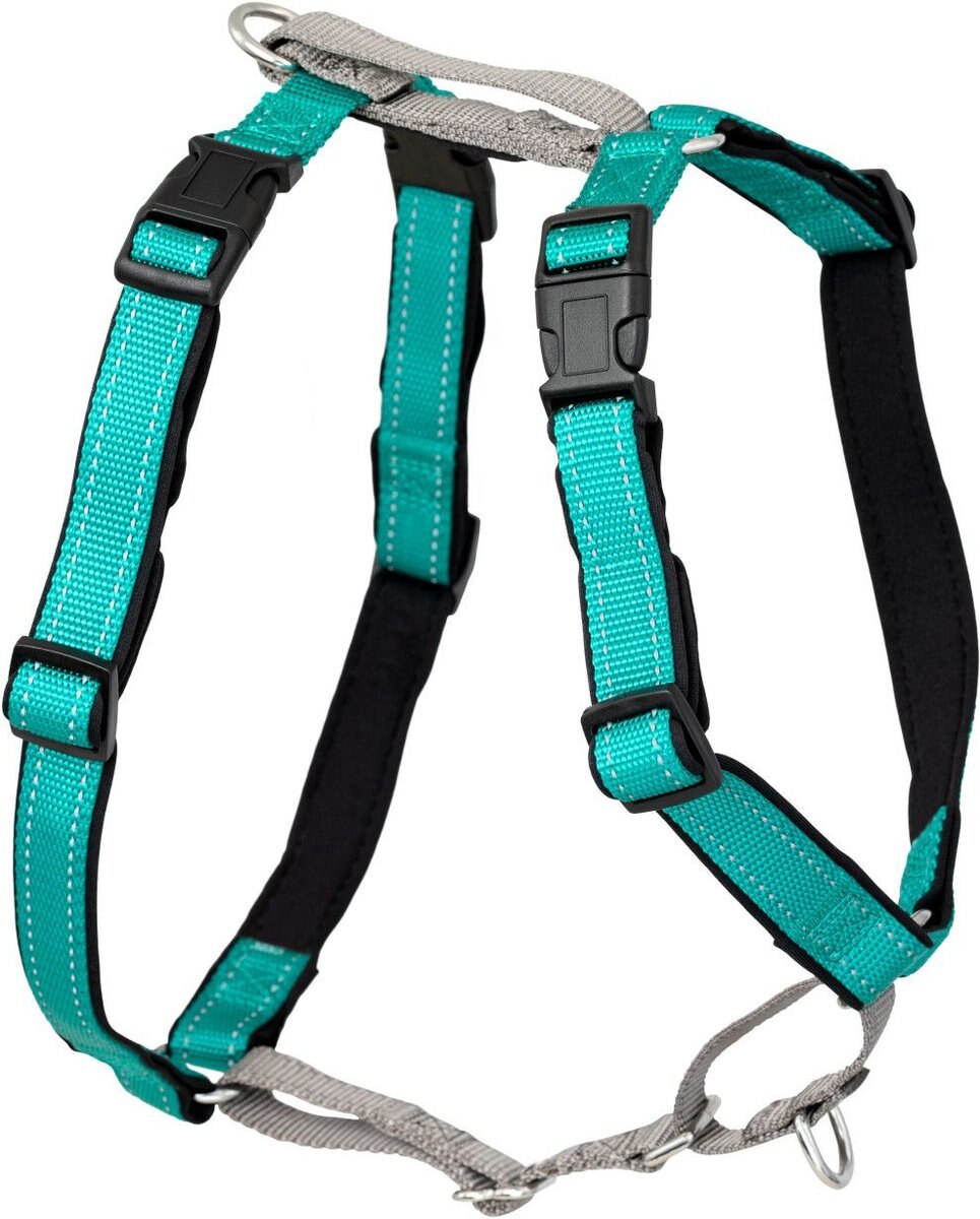 PetSafe 3-in-1 Reflective Dog Harness with Car Control Strap