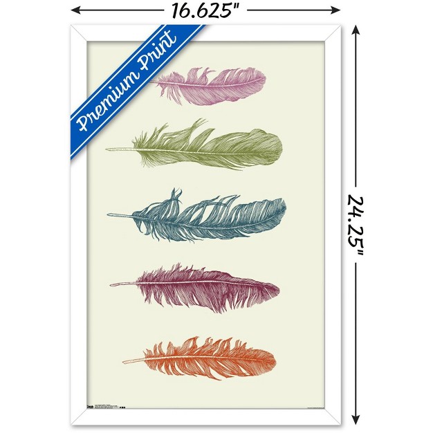 Trends International Rachel Caldwell Feathers Framed Wall Poster Prints