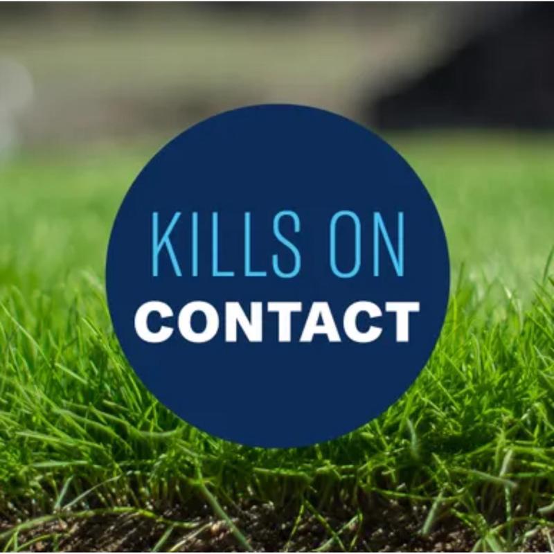 CRABGRASS KILLR 32OZ RTS