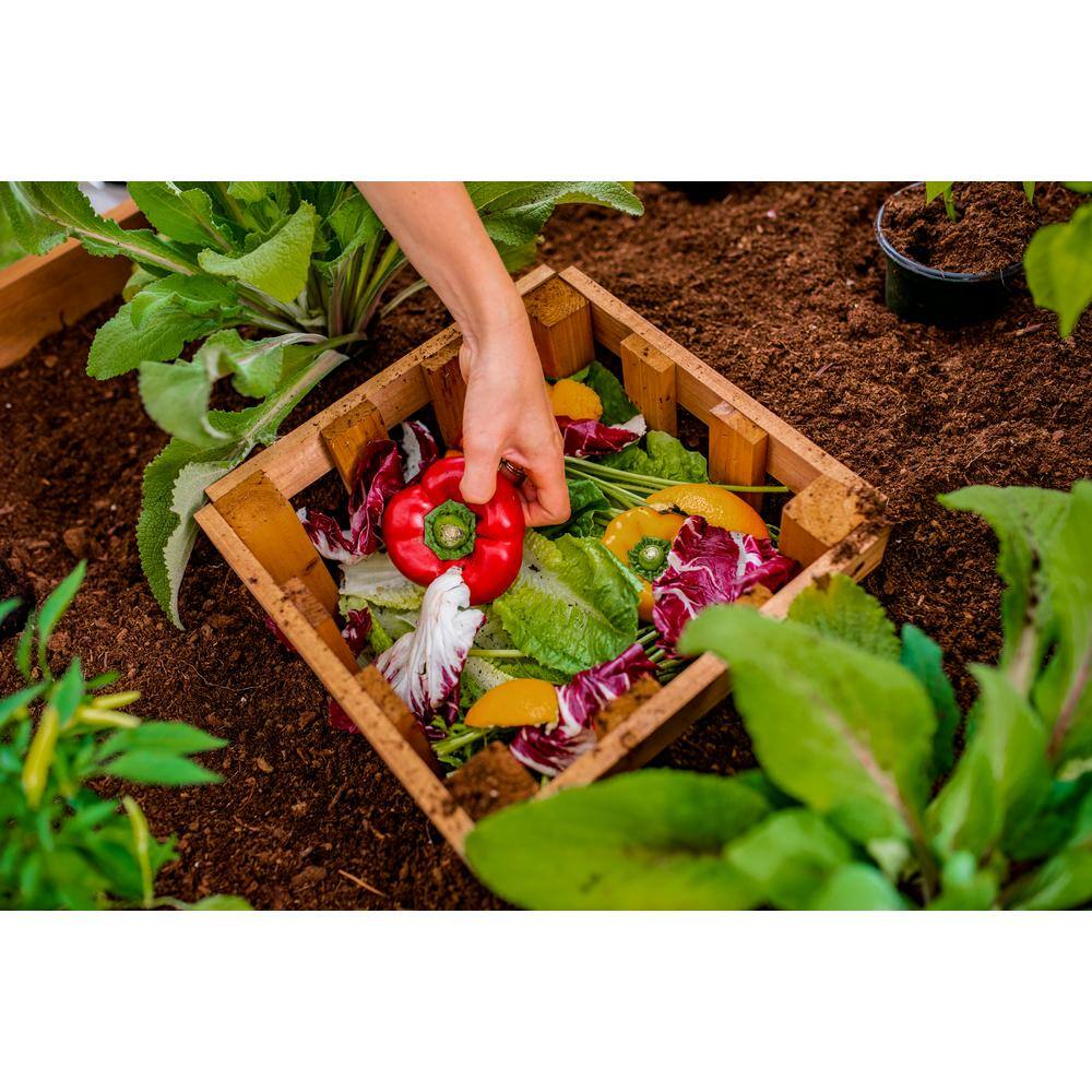 VITA Mezza 3'L x 5'W x 22H Cedar Keyhole Composting Garden Golden Brown VT17702 VT17702
