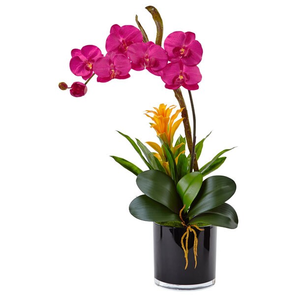 Nearly Natural Orchid and Bromeliad in Glossy Black Cylinder