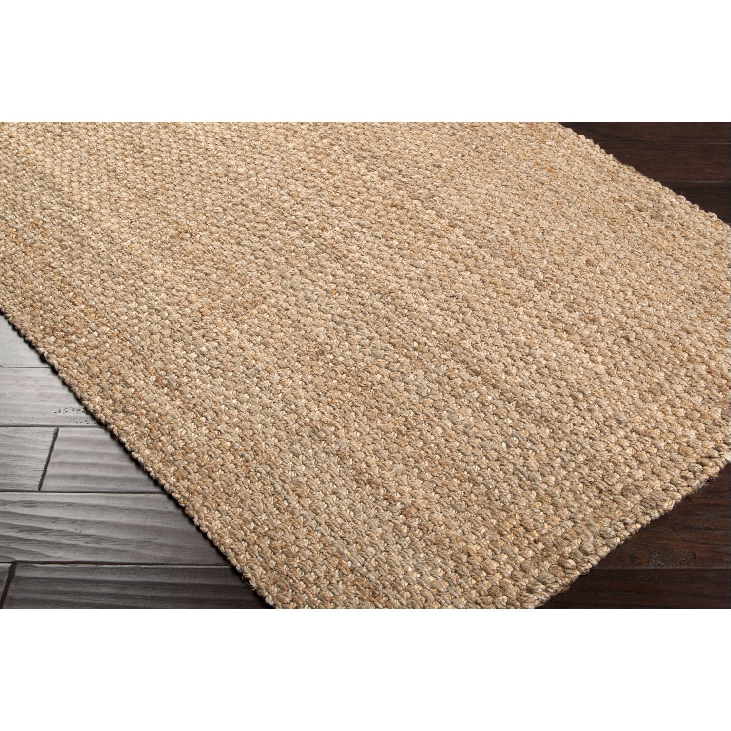 Jute Woven Collection Area Rug in Brown