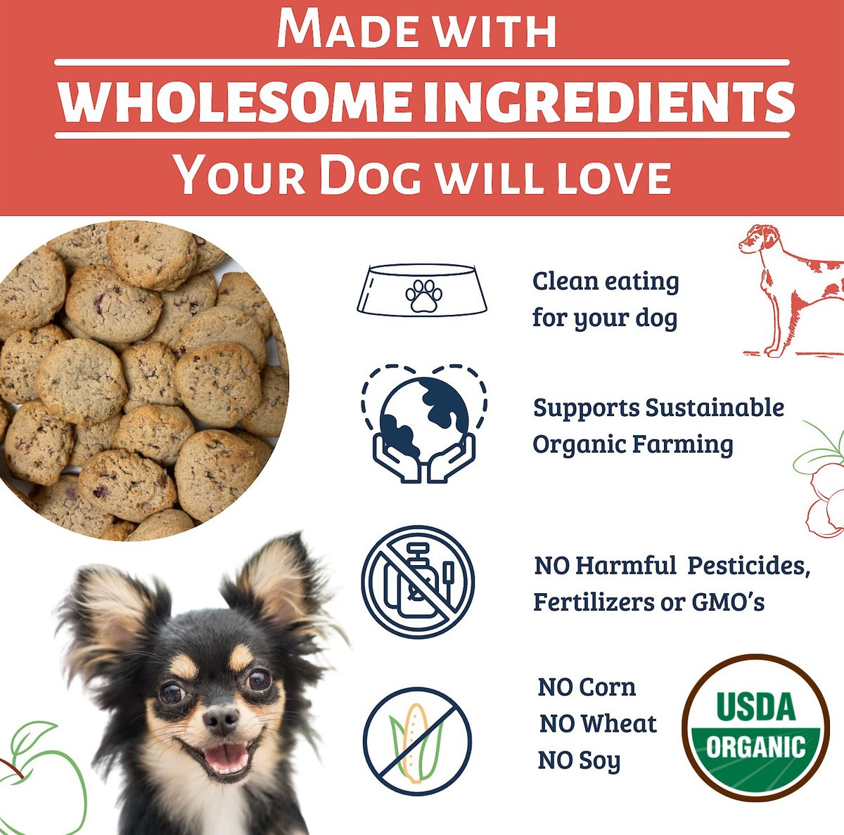 Dog Mamma’s Organic Apple Cranberry Crisp Dog Treats