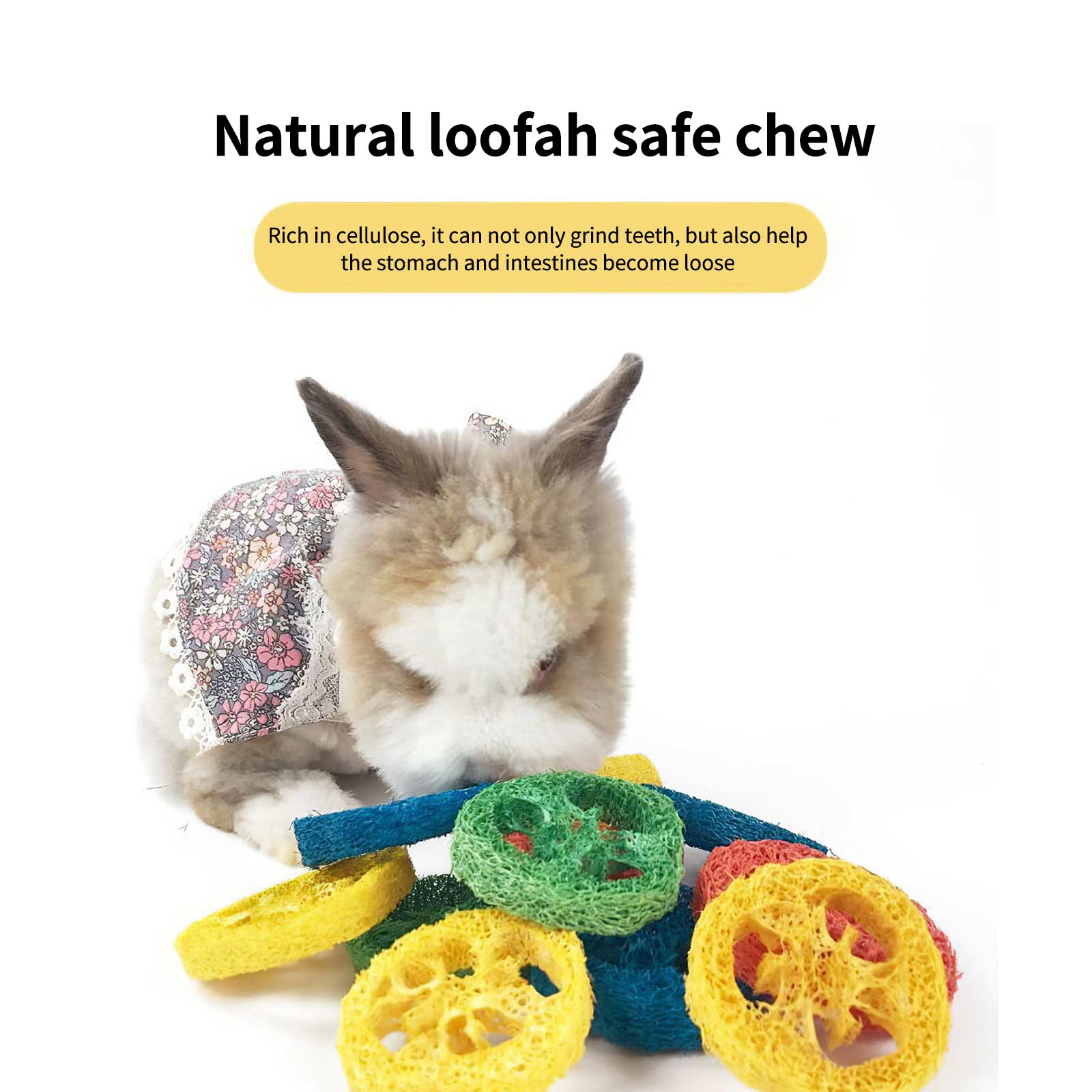 14pcs Bunny Chew Toys Natural Small Animals Teeth Toys Healthy Teeth Grinding Toy Set for Rabbit Hamster Gerbil Squirrel