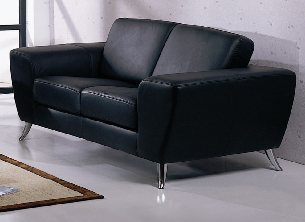 Julie Leather Match Loveseat   Contemporary   Loveseats   by BH Design  Houzz