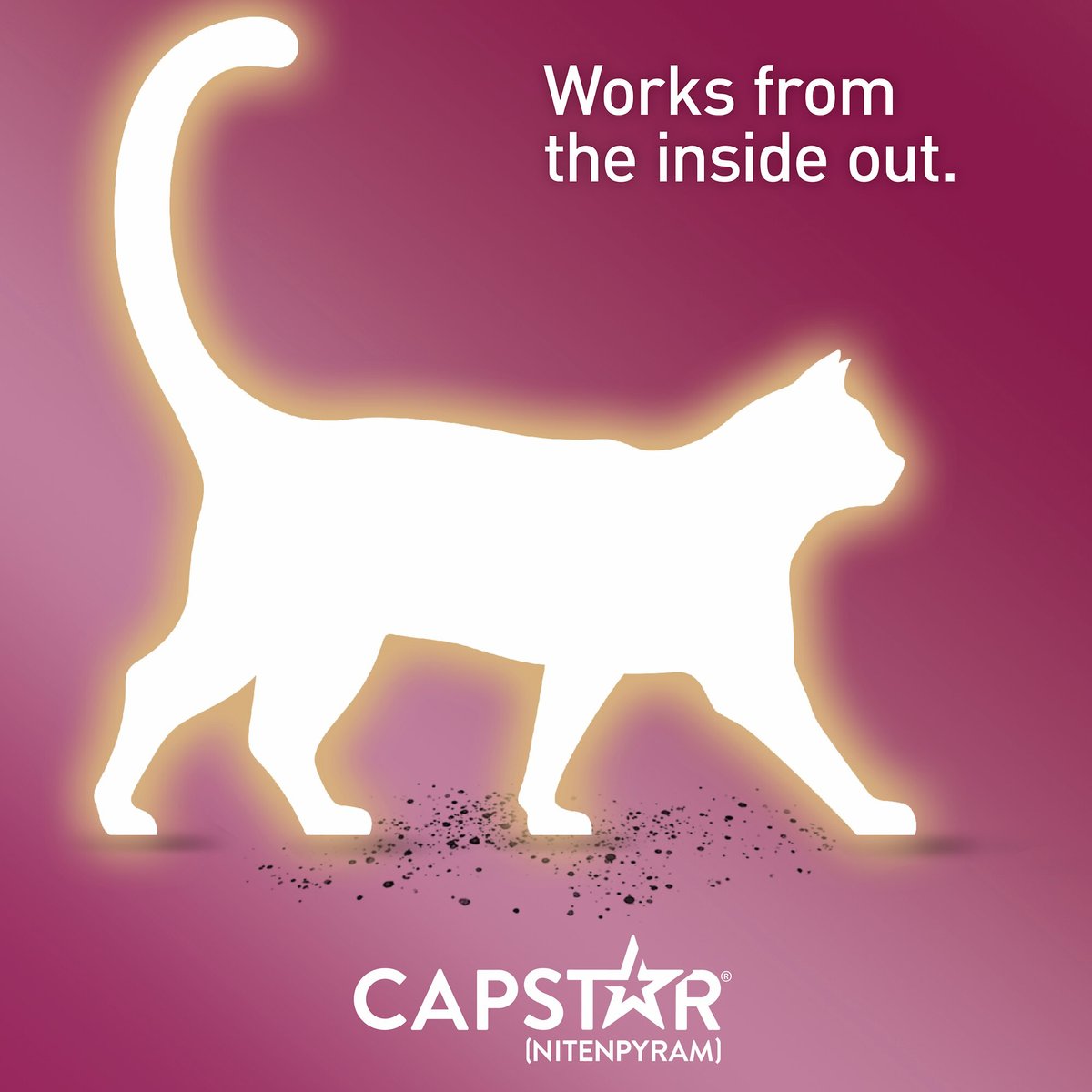 Capstar Flea Oral Treatment for Cats， 2-25 lbs