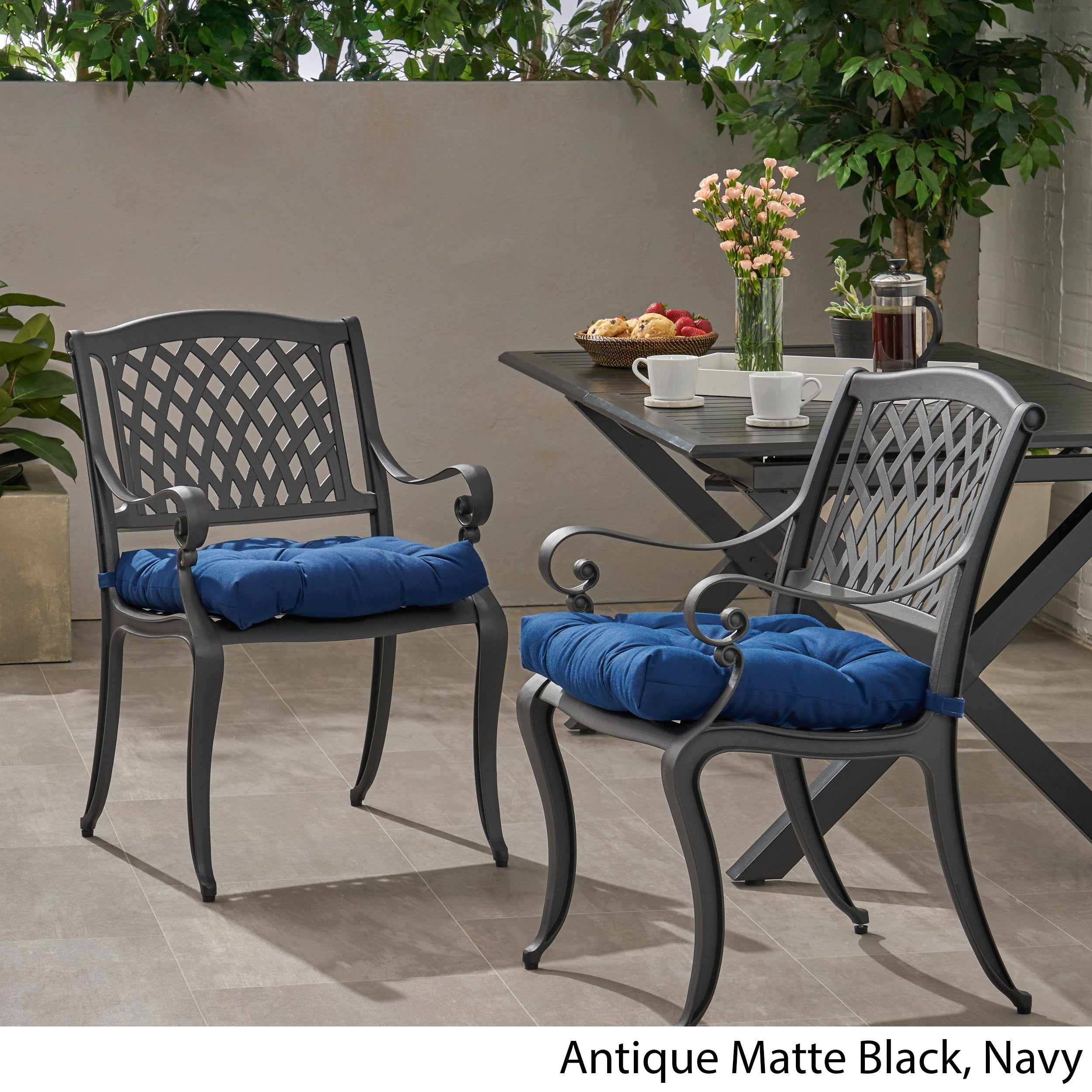 Allee Outdoor Dining Chair with Cushion (Set of 2)