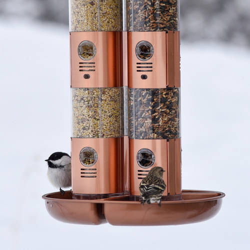 Perky-Pet 10 lb Copper Finish Triple Tube Bird Feeder