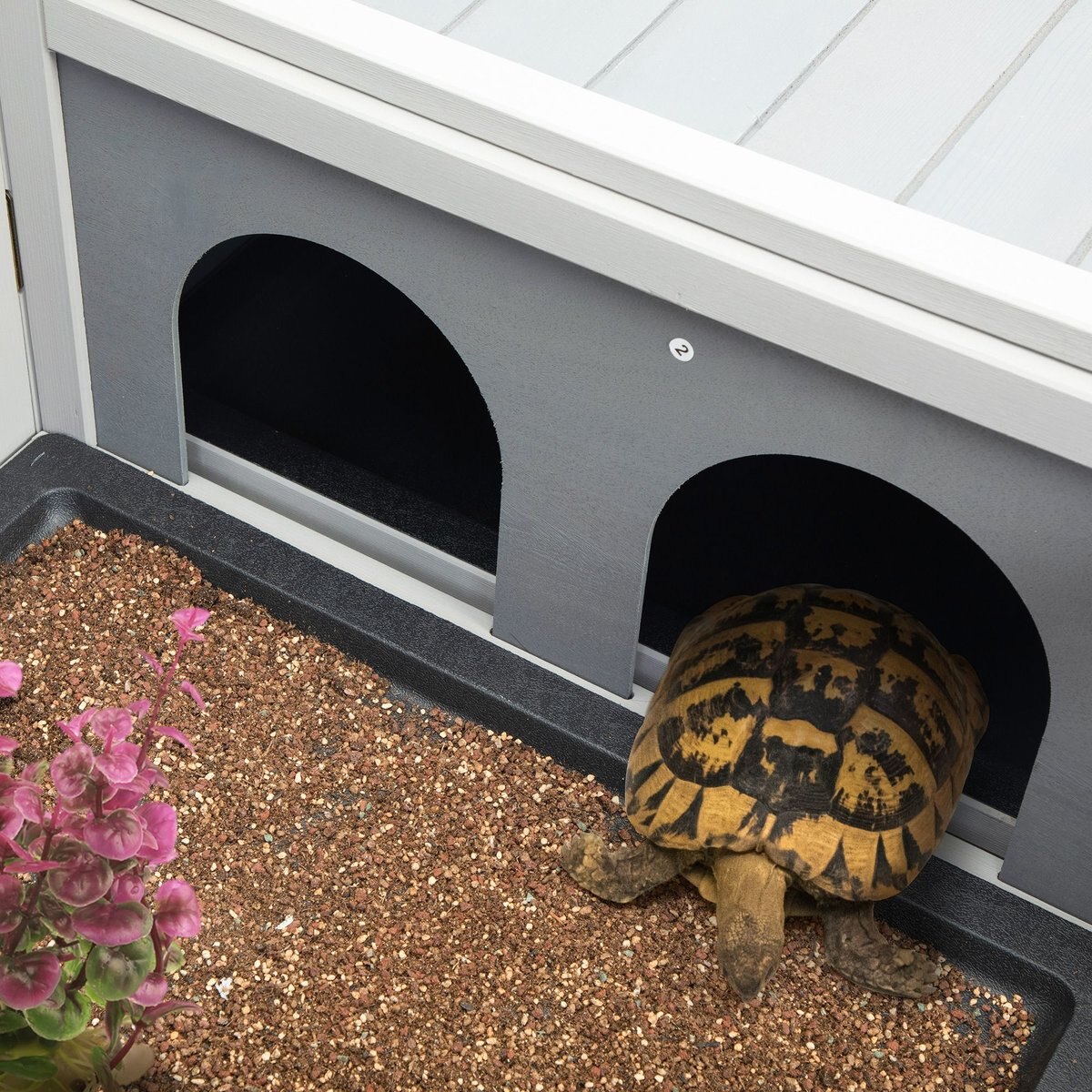 Coziwow by Jaxpety Wooden Tortoise House with Removable Trays Reptile Habitat， Grey