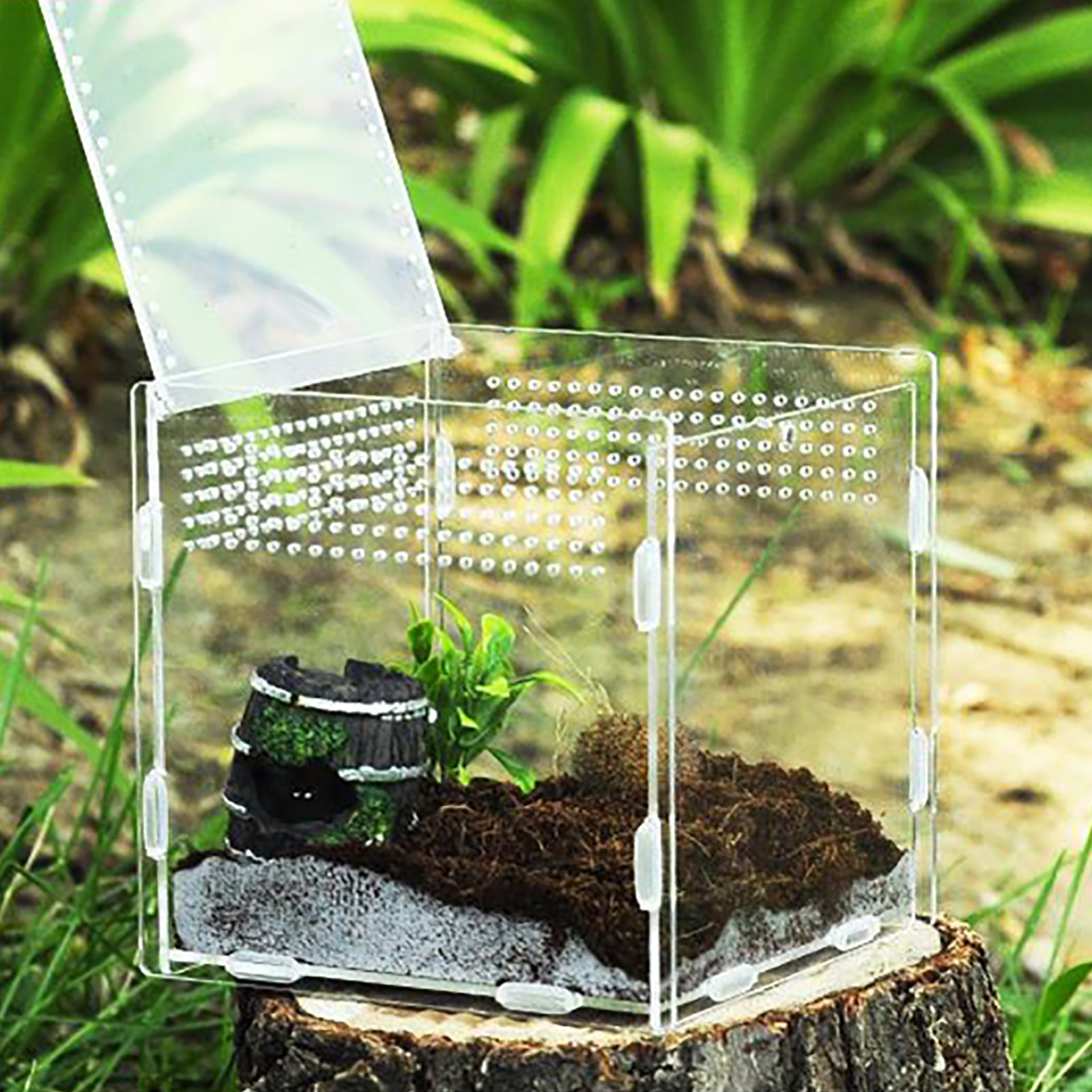 Acrylic Terrarium Spider Terrarium Box Crawling Pet Reptile Terrarium Factory Direct Sales Pet Supplies