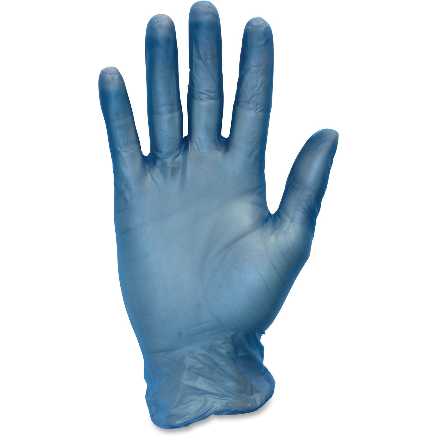 3 mil General-purpose Vinyl Gloves by The Safety Zone SZNGVP9LG1BL