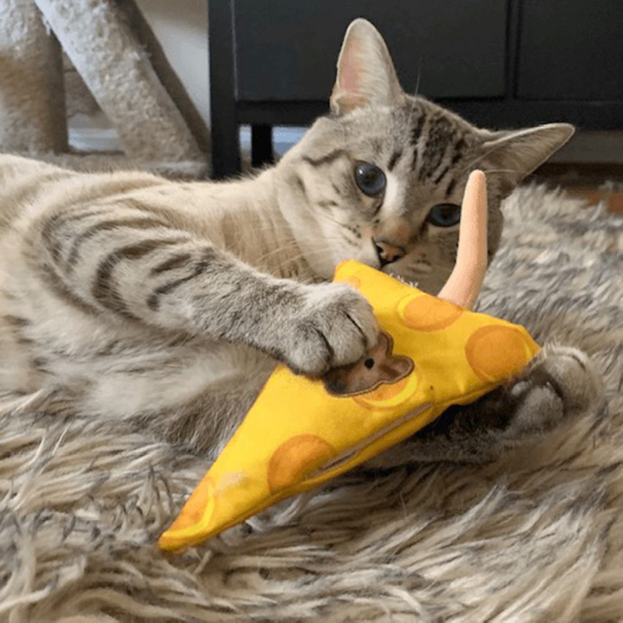 MEOWIJUANA Get Cheezy Refillable Cat Toy， Medium