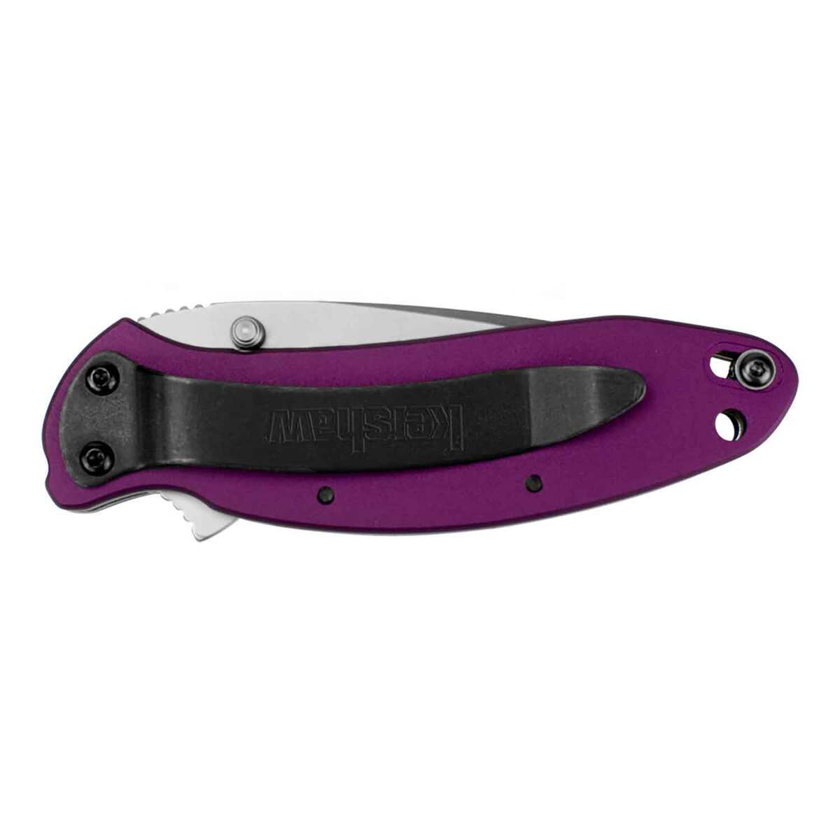 Kershaw Scallion 2.4 inch Folding Knife