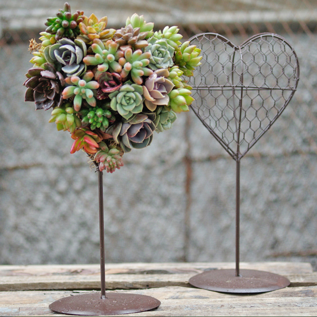 Heart Succulent Pot Standing Planter Plant Holder Basket Made of Wire