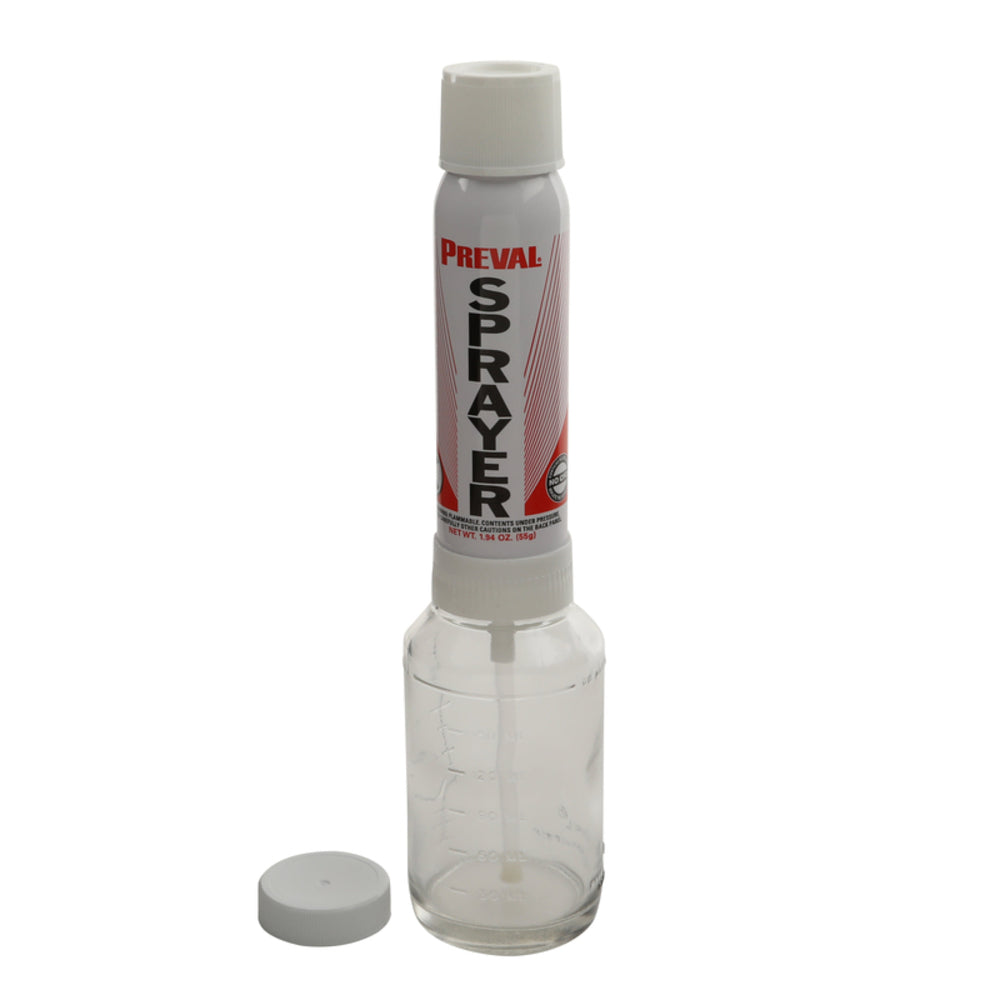 PAINT SPRYR SYSTEM 6OZ