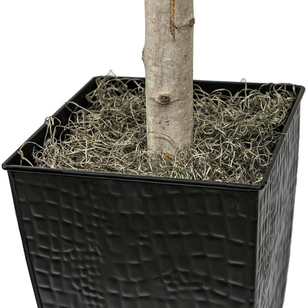 6' Artificial Metal Ficus Planter In Black - Lcg Florals