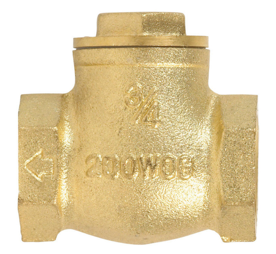 SWING CHECK VALVE 3/4