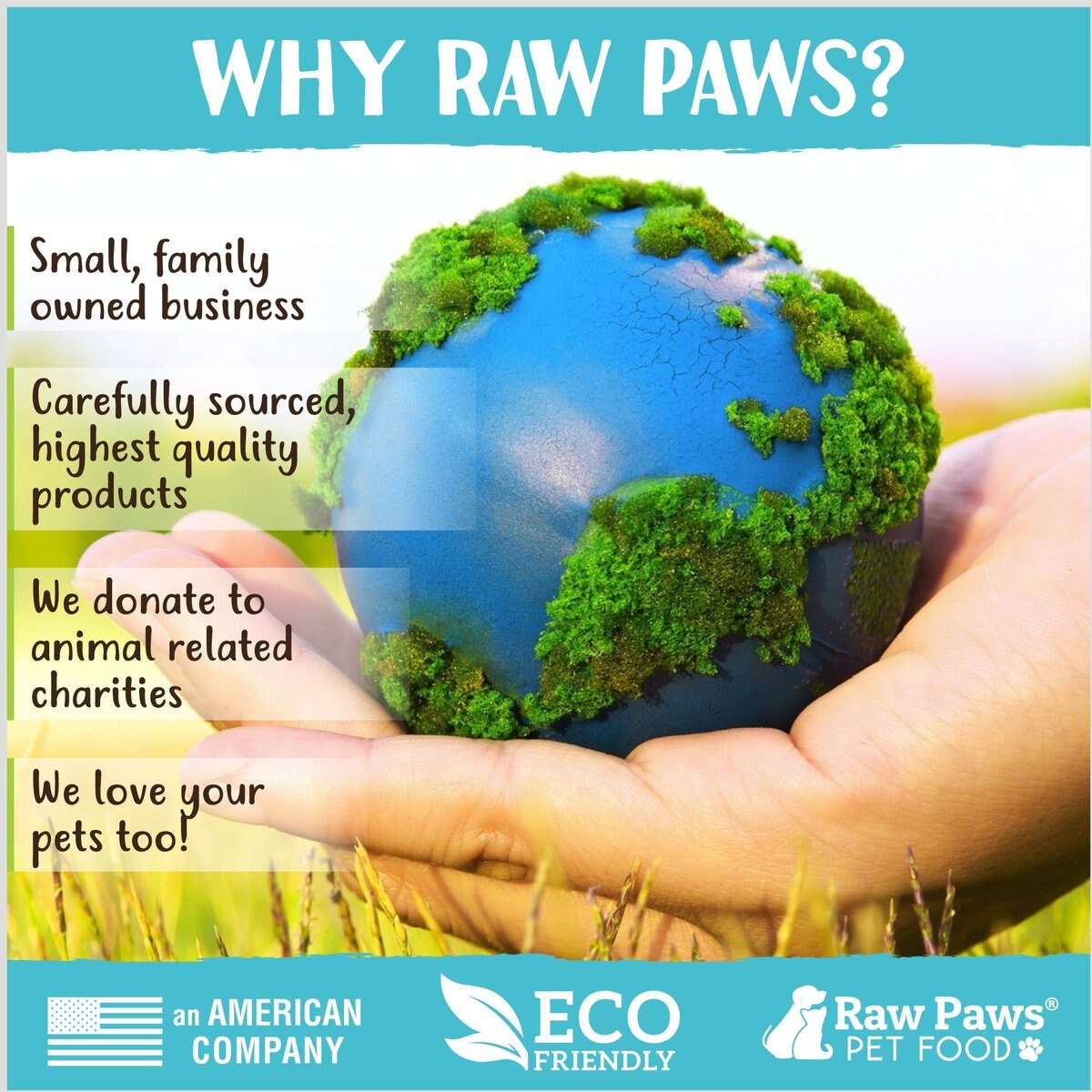 Raw Paws All-Natural Loose Leaf Cut Catnip for Cats， 1-oz jar