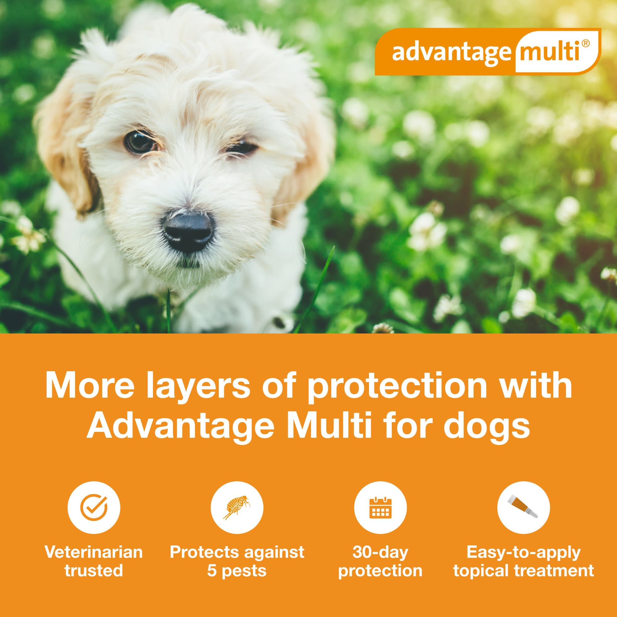 Advantage Multi Topical Solution for Dogs 3 to 9 lbs， 6 Month Supply