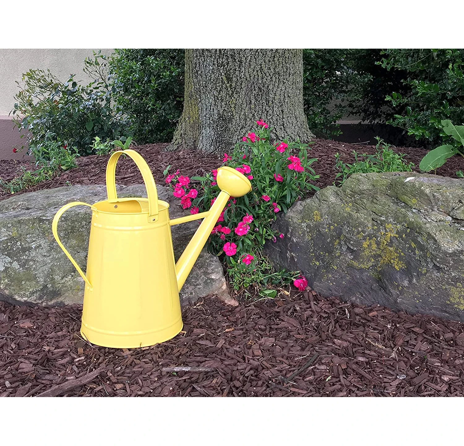 High Selling Watering Can Durable Watering Can for Indoor Outdoor Plant With Easy Pour Goose neck Spout Galvanized Painted Color