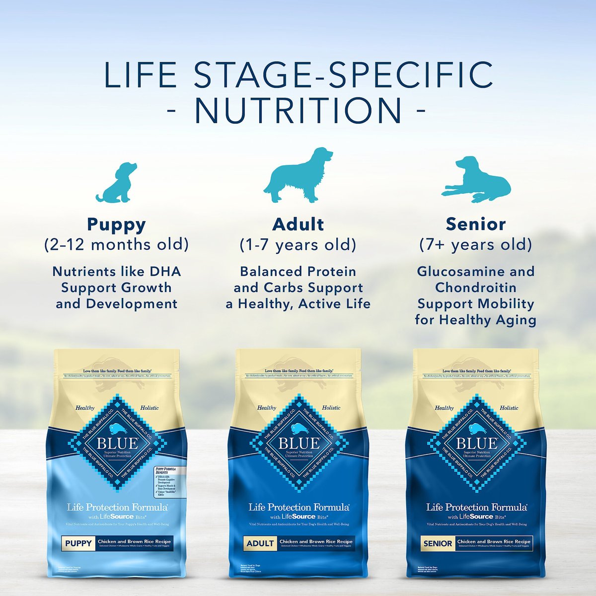 Blue Buffalo Life Protection Formula Puppy Chicken and Brown Rice Recipe Dry Dog Food