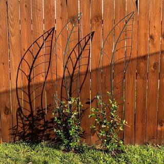 72 in. Decorative Metal Garden Trellis TG52DDW