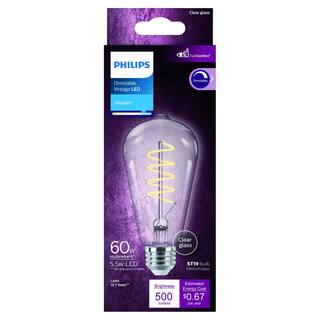 Philips 60-Watt Equivalent ST19 Spiral Filament E26 Base LED Vintage Edison LED Light Bulb 5000K Daylight (1-Pack) 565812